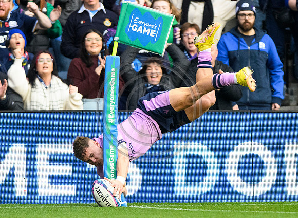 Scotland v New Zealand