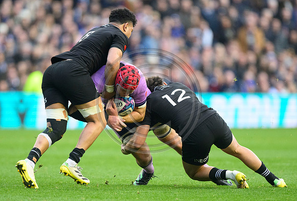 Scotland v New Zealand