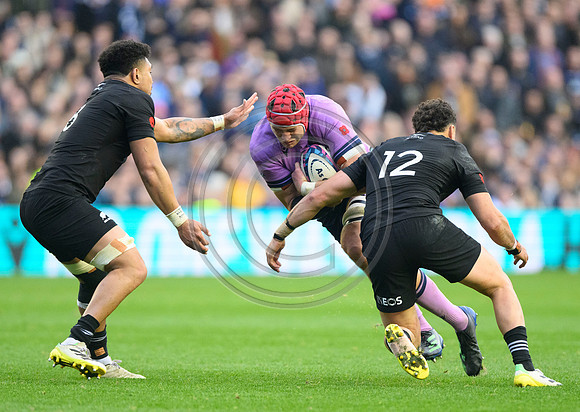 Scotland v New Zealand