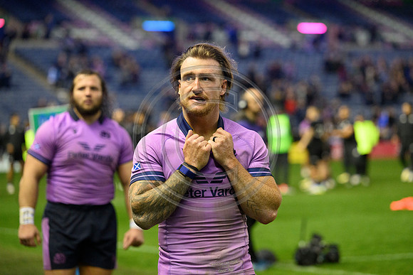 Scotland v New Zealand