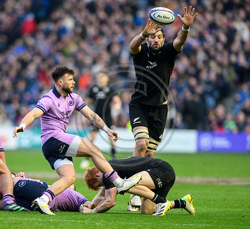 Scotland v New Zealand