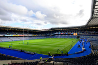 Scotland v New Zeland
