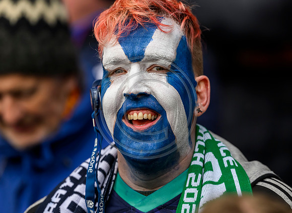 Scotland v Ireland