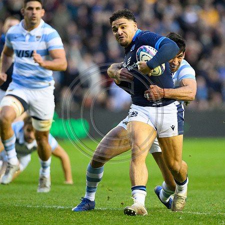 Scotland v Argentina