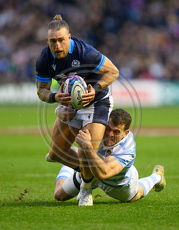 Scotland v Argentina