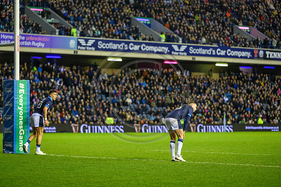 Scotland v Argentina