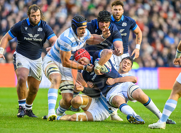 Scotland v Argentina