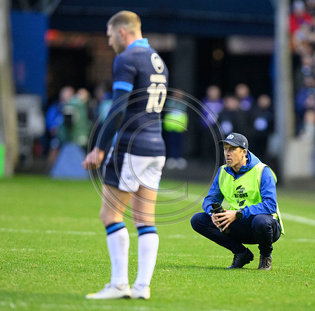 Scotland v Argentina