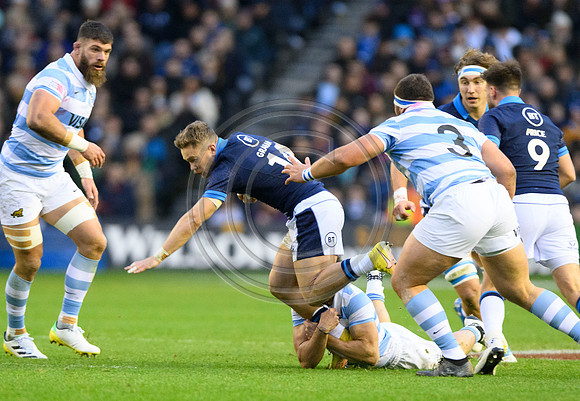 Scotland v Argentina