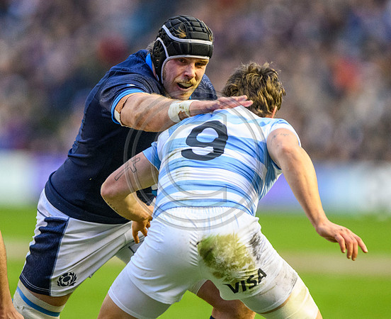 Scotland v Argentina