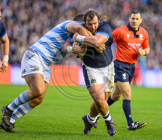 Scotland v Argentina