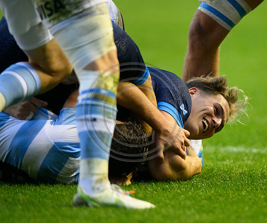 Scotland v Argentina
