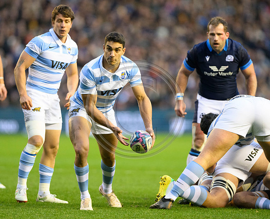 Scotland v Argentina
