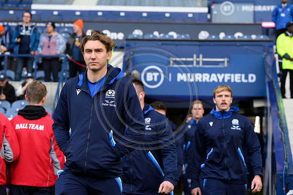 Scotland v Argentina