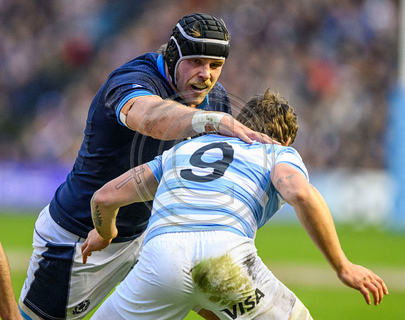 Scotland v Argentina