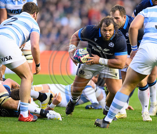 Scotland v Argentina