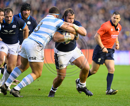 Scotland v Argentina