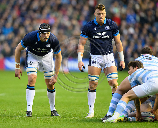 Scotland v Argentina