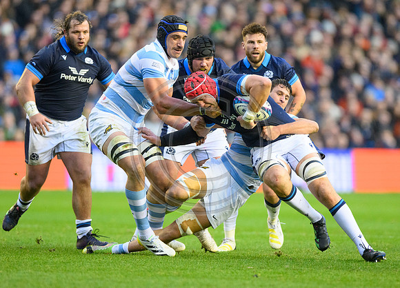 Scotland v Argentina