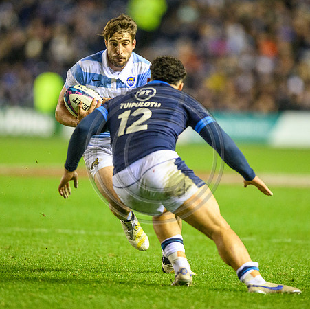 Scotland v Argentina