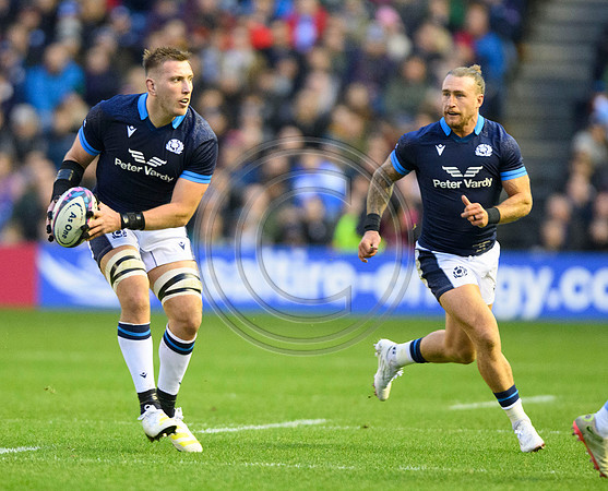 Scotland v Argentina
