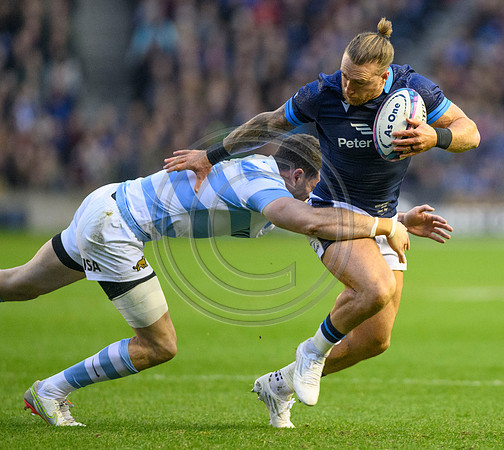 Scotland v Argentina