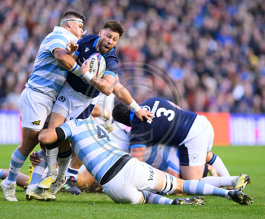 Scotland v Argentina