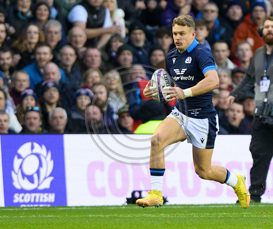 Scotland v Argentina