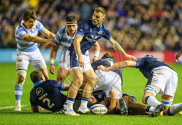 Scotland v Argentina