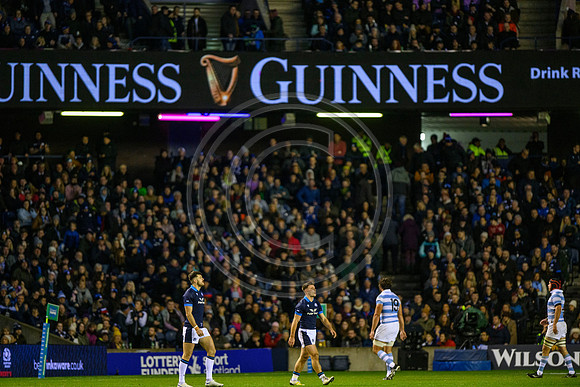 Scotland v Argentina