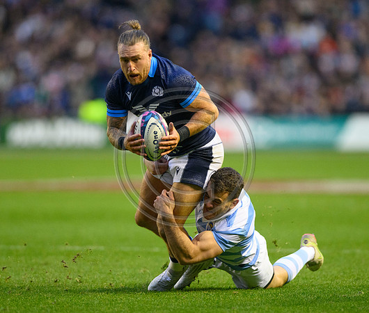 Scotland v Argentina
