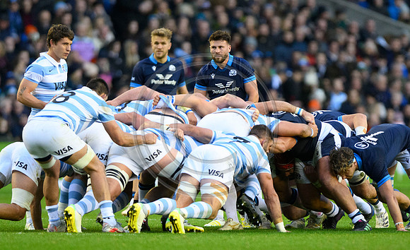 Scotland v Argentina
