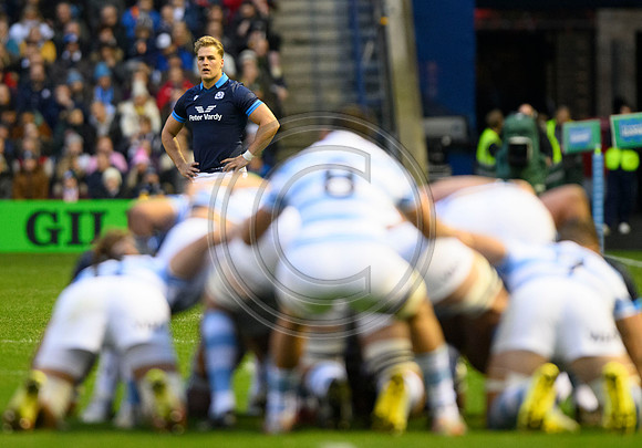 Scotland v Argentina