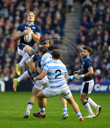 Scotland v Argentina
