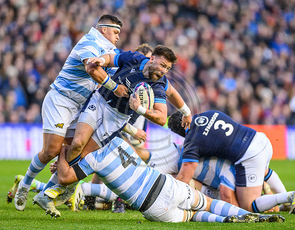 Scotland v Argentina