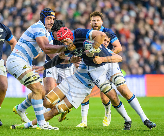 Scotland v Argentina