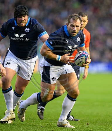 Scotland v Argentina
