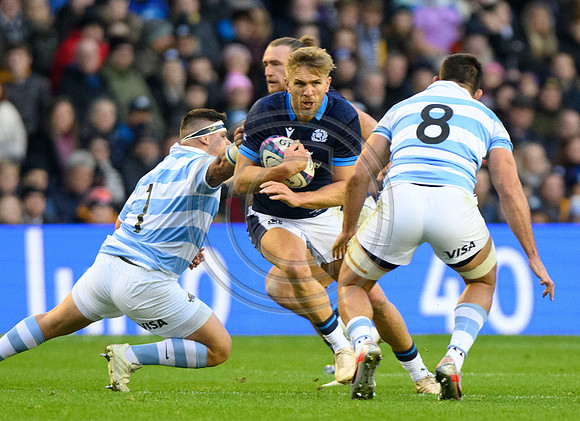 Scotland v Argentina