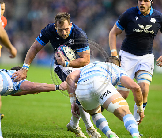 Scotland v Argentina