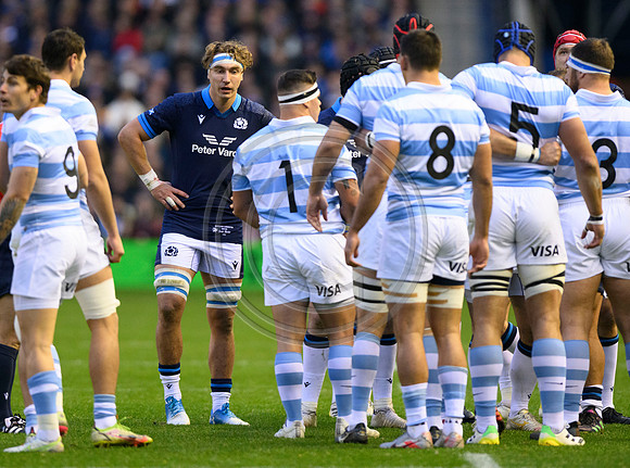 Scotland v Argentina