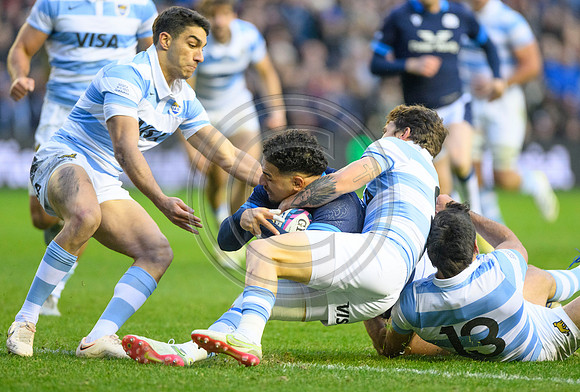 Scotland v Argentina