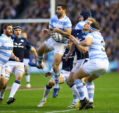 Scotland v Argentina