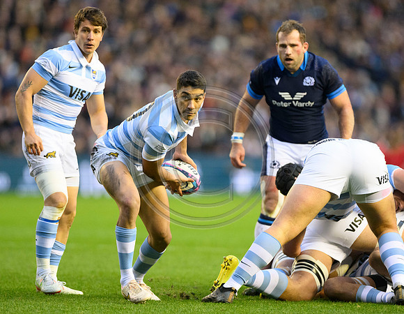 Scotland v Argentina