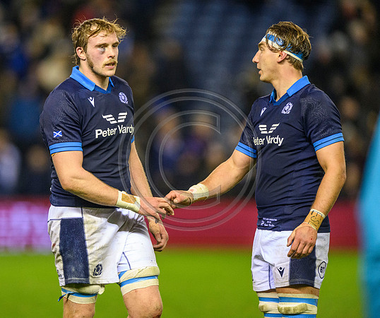 Scotland v Argentina