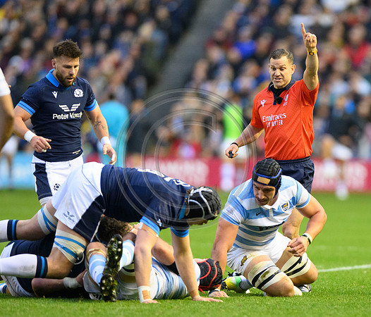 Scotland v Argentina
