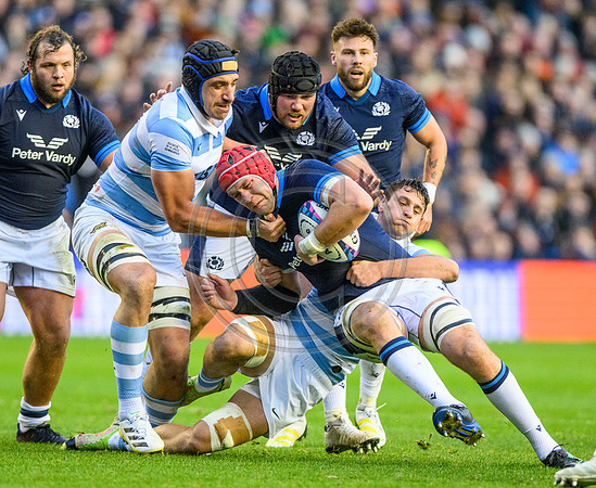 Scotland v Argentina