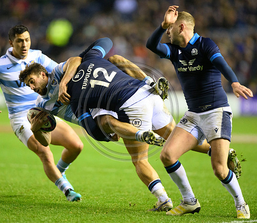 Scotland v Argentina