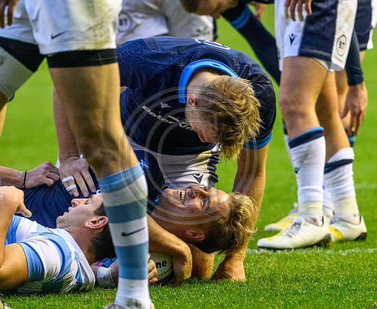 Scotland v Argentina