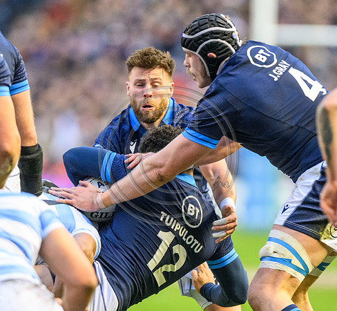 Scotland v Argentina
