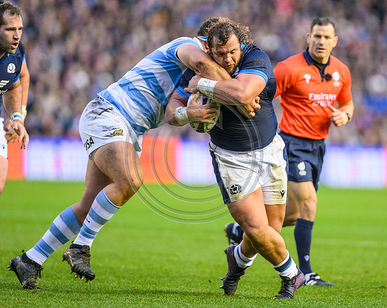 Scotland v Argentina